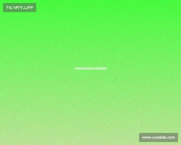 南亚电子竞技战队成员介绍;南亚电子是谁开的？